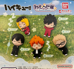 Nemurasetai Haikyuu Character 5 Pieces Set (In-stock)