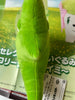 Pokemon Metapod Small Plush (In-stock)