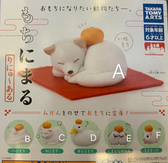 Animal Under Mandarin Orange Small Figure 6 Pieces Set (In-stock)