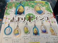 Parrot in Cage Figure Keychain 6 Pieces Set (In-stock)