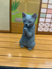 Animal Cat Gassho Figure 5 Piece Set (In-stock)