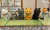 Cat in Paper Bag Figure 6 Pieces Set (In-stock)