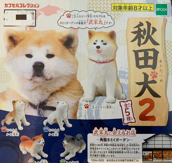 Akita Inu Figure Vol.2 5 Pieces Set (In-stock)