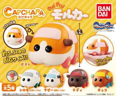 CAPCHARA PUI PUI Molcar Big Head Figure 5 Pieces Set (In-stock)