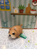 Koro Koro Shiba Inu Plush 5 Pieces Set (In-stock)