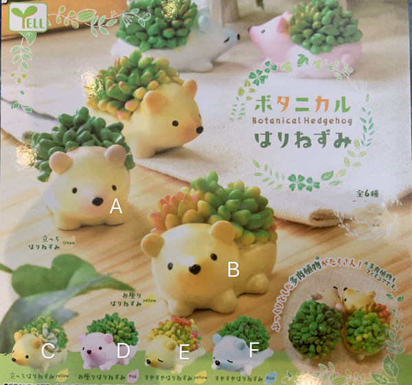 Botanical Hedgehog Figure 6 Pieces Set (In-stock)