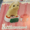 Usagi’s Bath Time Collection Figure 6 Pieces Set (In Stock)