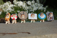 Shiba Inu Got Stuck Figure Keychain Vol.3 6 Pieces Set (In-stock)