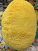 Giant Japanese Yellow Daruma Plush (In-stock)