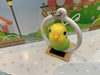Parrot in Cage Figure Keychain 6 Pieces Set (In-stock)