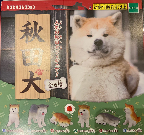 Popular Akita Inu Life Figure 6 Pieces Set (In-stock)