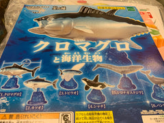 Marine Life Fish Collection Figure 6 Pieces Set (In-stock)