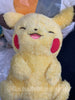 Pokemon Life with Pikachu Medium Long Fur Plush Type A (In-stock)