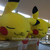 Pikachu Mania! Sleeping Pikachu 10"
