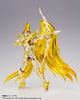 Saint Seiya EX Cloth Myth Sagittarius Aiolos God Cloth