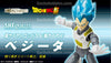 S.H.Figuarts Super Saiyam God SS Tamashii Limited (Pre-order)
