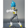 S.H.Figuarts Super Saiyam God SS Tamashii Limited (Pre-order)